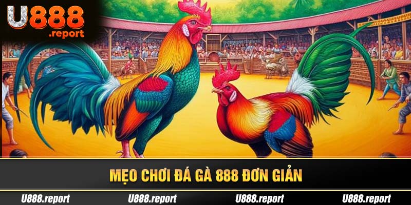 Đá gà 888 với mẹo chơi đơn giản